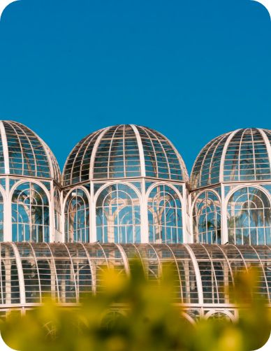 Integrated Commercial Intelligence and Operational Strategy to guarantee better Competitiveness.